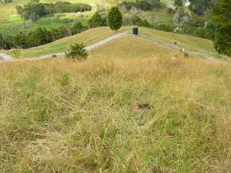 CHOICE 4 HECTARE BLOCK Picture 3