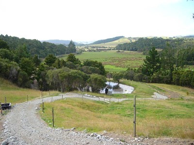 CHOICE 4 HECTARE BLOCK Picture