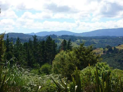 COUNTRY HOUSE SITE Picture COUNTRY HOUSE SITE Picture