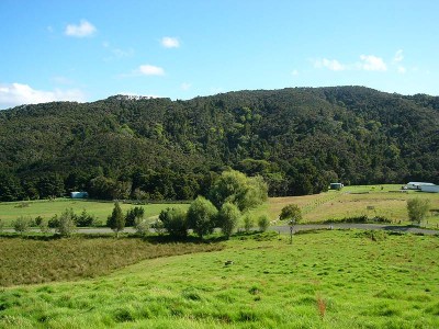 WEE COUNTRY LIFESTYLE - WEE COUNTRY LIFESTYLE -