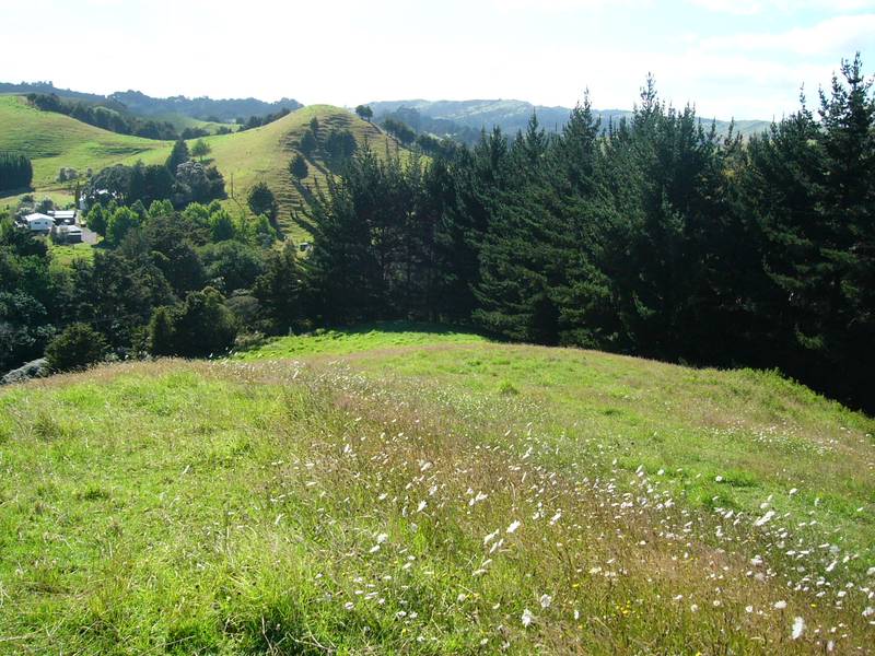 WEE COUNTRY LIFESTYLE - 