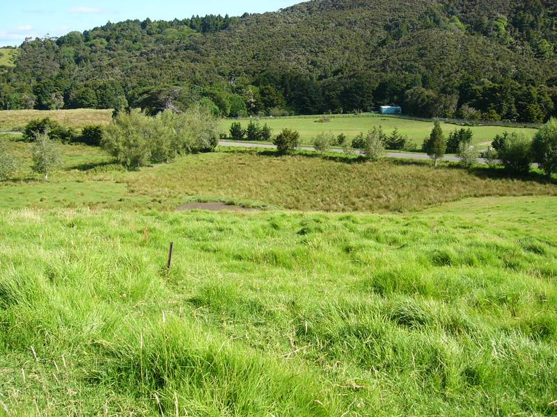 WEE COUNTRY LIFESTYLE - 