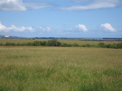 WHEN LOCATION COUNTS Picture WHEN LOCATION COUNTS Picture