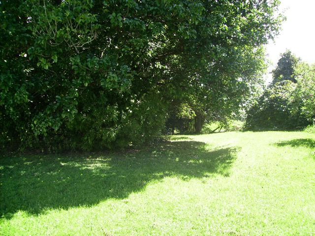 HOKIANGA HARBOUR RAWENE SECTION Picture 3