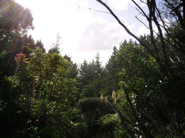 HOKIANGA HARBOUR OMAPERE Picture 3