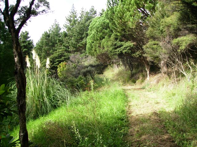 HOKIANGA HARBOUR OMAPERE Picture 2