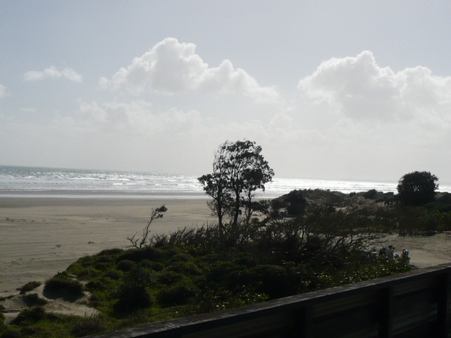 MOTIVATED VENDOR ON ABSOLUTE BEACHFRONT Picture 3