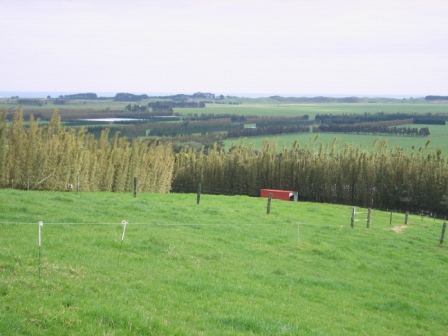 WAS $250,000 NOW $185,000 Picture 1