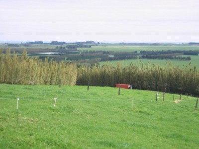 WAS $250,000 NOW $185,000 Picture