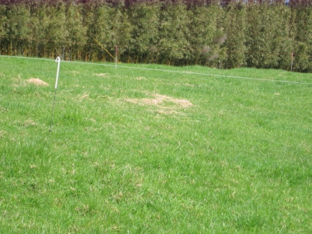 WAS $250,000 NOW $185,000 Picture 3