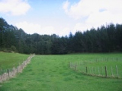 2.4 HECTARE SUN TRAP Picture