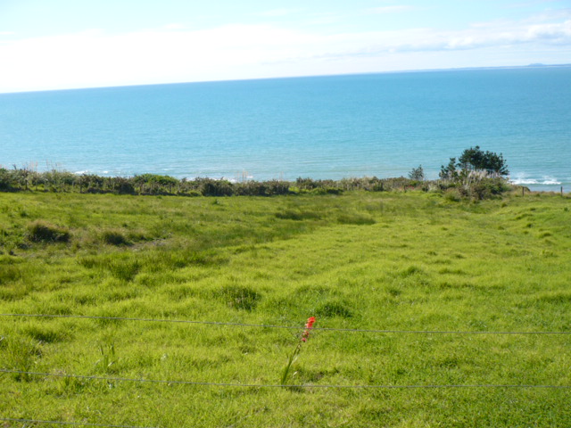 AHIPARA, 90 MILE & ALMOST AUSTRALIA Picture 2