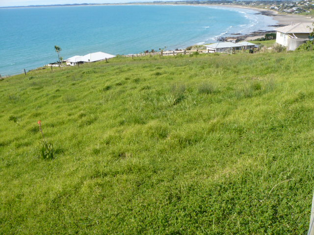 AHIPARA, 90 MILE & ALMOST AUSTRALIA Picture 1
