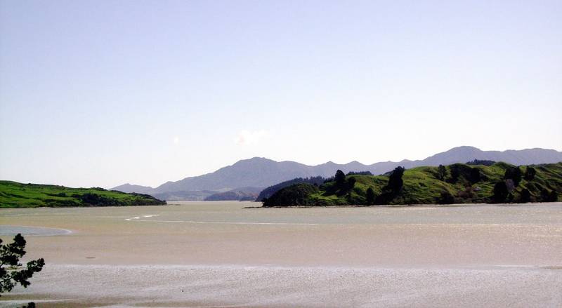 ABSOLUTE WATERFRONT SECTION Picture 3