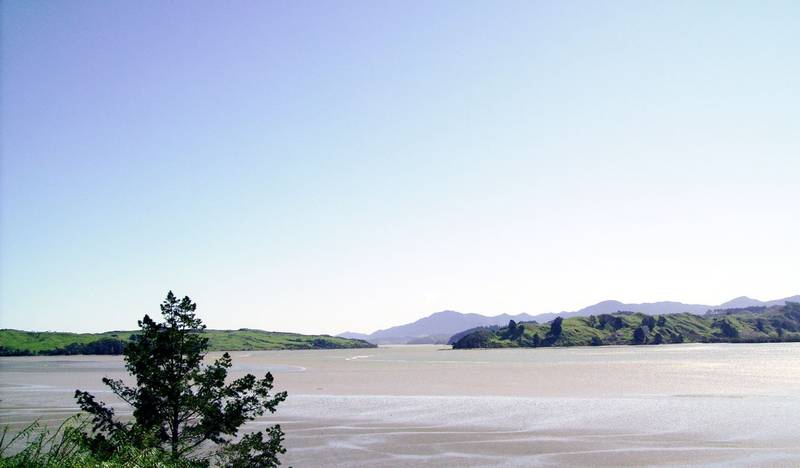 ABSOLUTE WATERFRONT SECTION Picture 1