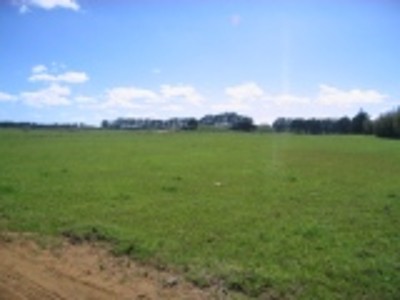 TAKE YOUR PICK! Picture