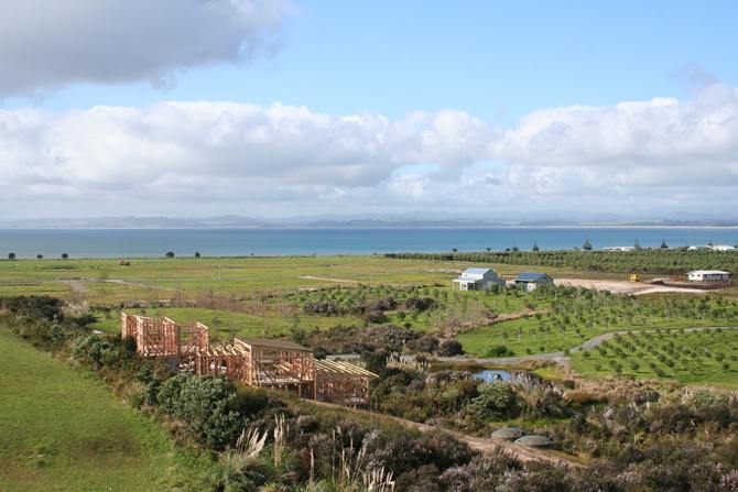 EXECUTIVE FAMILY LIVING Picture 2