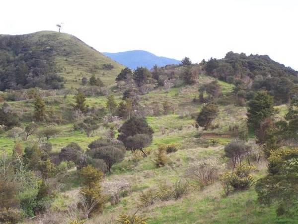 CHEAP CHEAP CHEAP!!! Picture 3