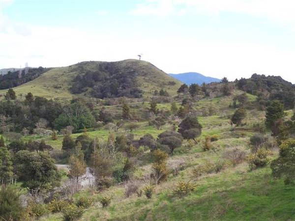 CHEAP CHEAP CHEAP!!! Picture 2