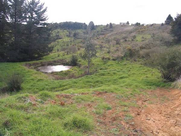 CHEAP CHEAP CHEAP!!! Picture 1