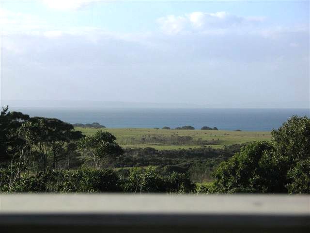 VIEWS AFAR IN HENDERSON BAY Picture 3