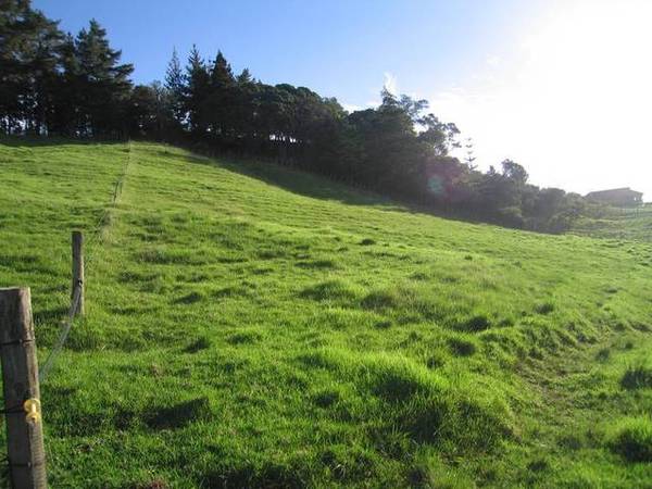 ENJOY NEW HEIGHTS IN TOP LOCATION Picture 1