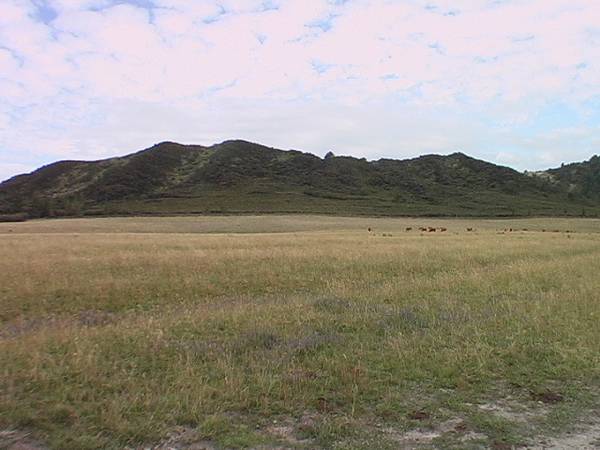 HOKIANGA HARBOUR - KOUTU POINT SUBDIVISION Picture 3