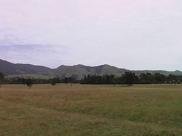 HOKIANGA HARBOUR - KOUTU POINT SUBDIVISION Picture 2