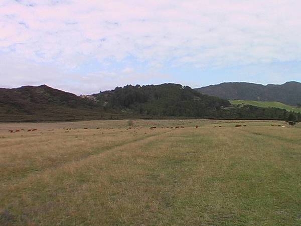 HOKIANGA HARBOUR - KOUTU POINT SUBDIVISION Picture 3