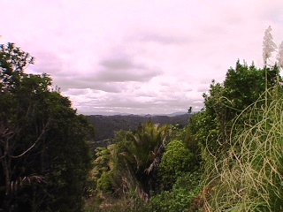 HOKIANGA HARBOUR - RAWENE Picture 1