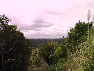 HOKIANGA HARBOUR - RAWENE Picture HOKIANGA HARBOUR - RAWENE Picture
