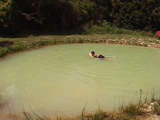 HOKIANGA - RAINBOW RIDGE - OMANAIA Picture 2