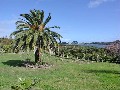 LAKE NGATU PLANTATIONS Picture