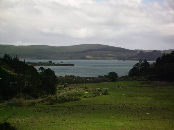 HOKIANGA HARBOUR - KOUTU LOOP Picture 3
