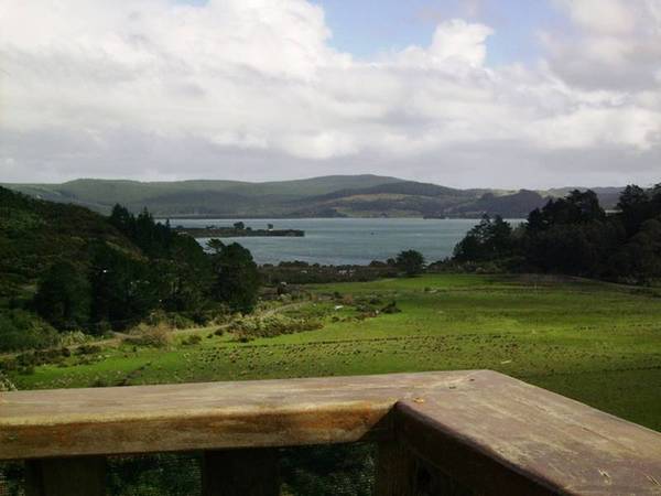 HOKIANGA HARBOUR - KOUTU LOOP Picture 2
