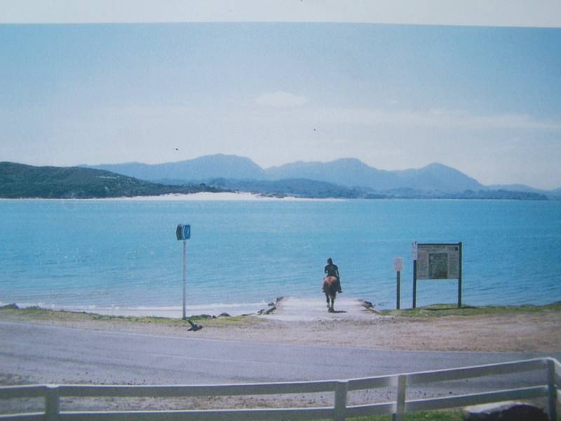 HOKIANGA HARBOUR OPONONI Picture 2