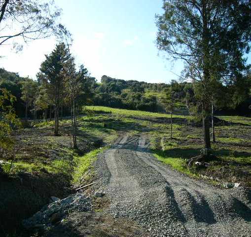 PERFECTION IN PARADISE Picture 1