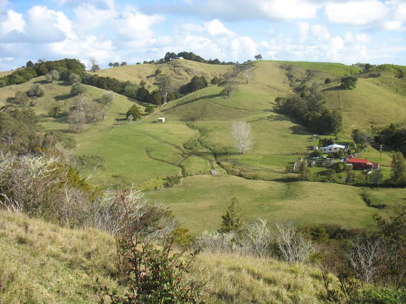 LITTLE GREEN VALLEY Picture 3