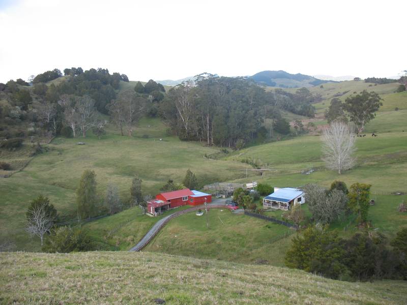 LITTLE GREEN VALLEY Picture 1