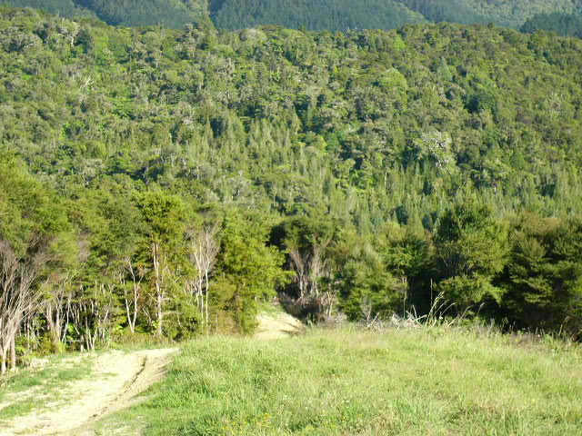 COUNTRY AIR SO SWEET Picture 2