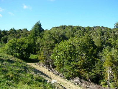 COUNTRY AIR SO SWEET Picture COUNTRY AIR SO SWEET Picture