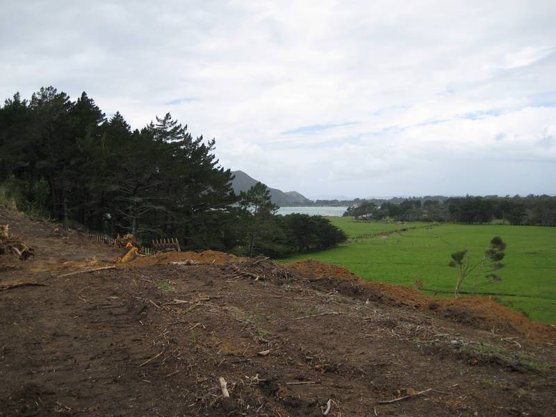 PUKENUI PARADISE Picture 2