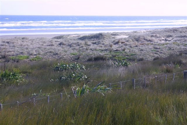 SPECTACULAR BEACHFRONT BLOCKS Picture 1