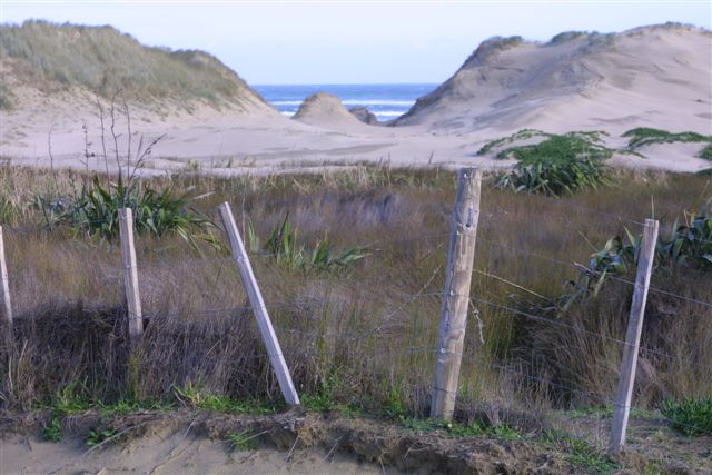 SPECTACULAR BEACHFRONT BLOCKS Picture 2