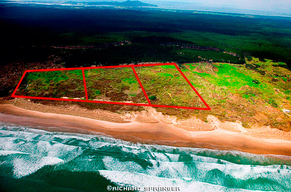 SPECTACULAR BEACHFRONT BLOCKS Picture 3