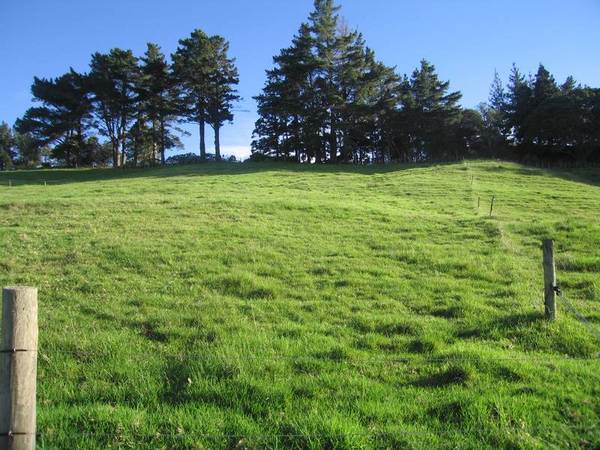 TOP LOCATION Picture 1