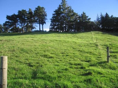 TOP LOCATION Picture