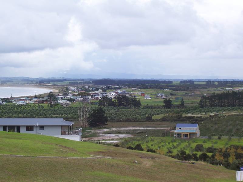 INVESTING IN KARIKARI Picture 2