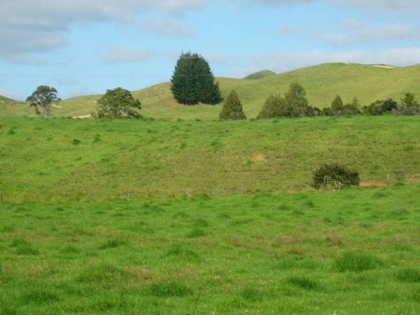 PIECE OF POPULAR PERIA Picture 1