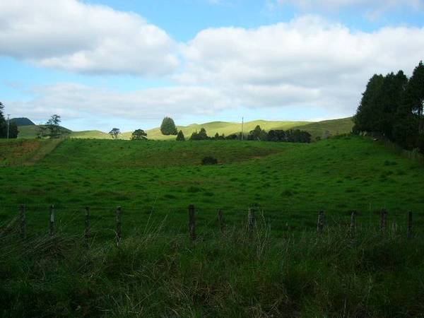 PIECE OF POPULAR PERIA Picture 3